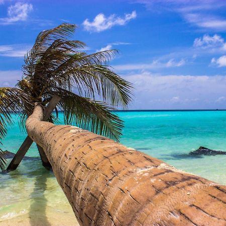 Ci-Ritorno View Ξενοδοχείο Maafushi Εξωτερικό φωτογραφία
